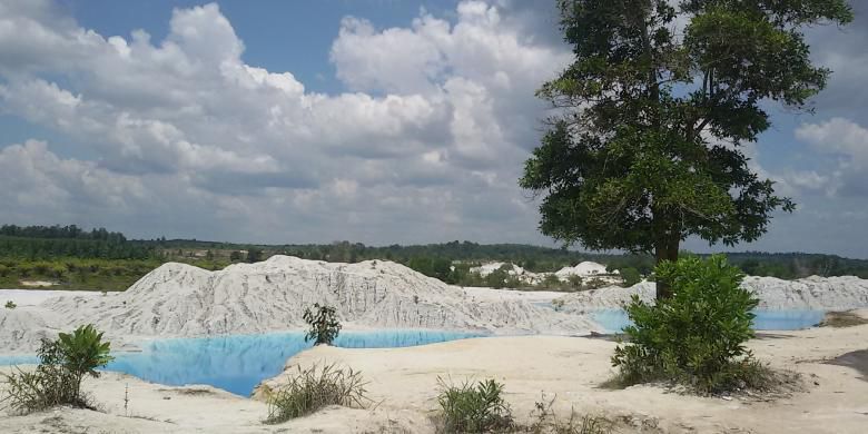 Bekas Tambang Timah Disulap Jadi Agrowisata | INDEPHEDIA.com