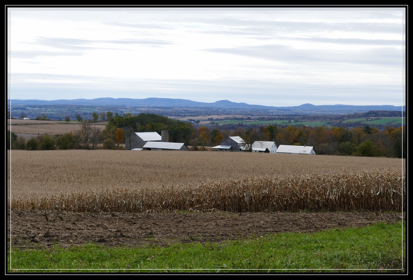 Part II of Our Autumn Visit to Amish Country in Upstate NY Life As I