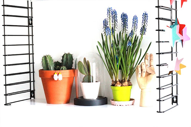 display plants styling on a Tomado shelve