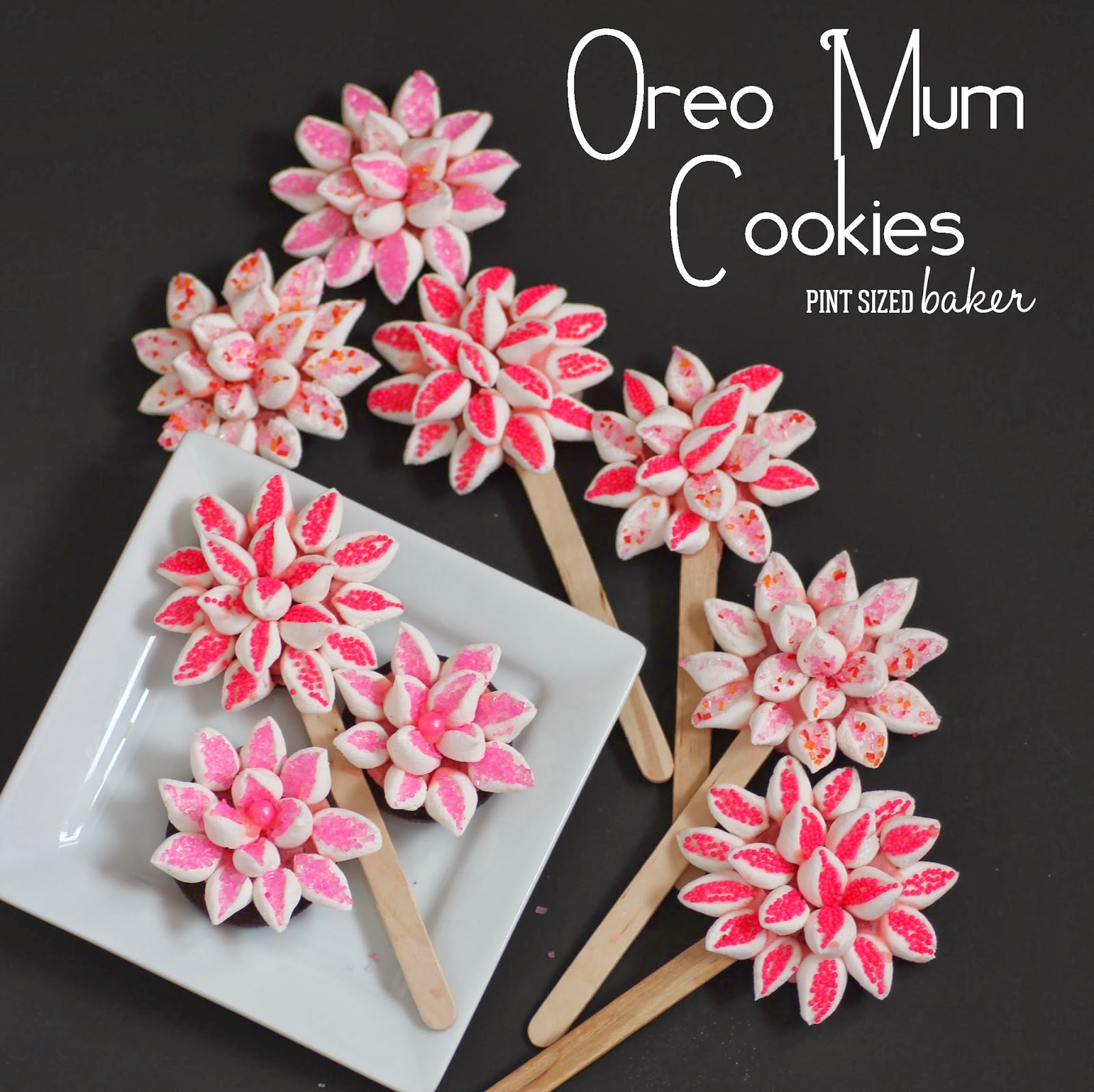 Oreo Mum Cookie Flowers 1 1+ps+Oreo+Mum+flowers+(36)