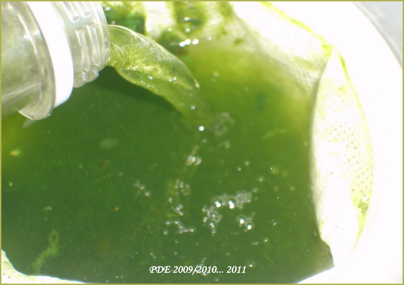 Cultivo de Microalgas em Fotobiorreatores: Biodiesel de Microalgas...