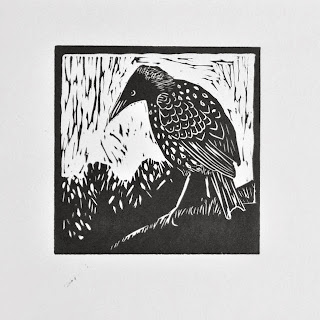 Starling bird linocut 