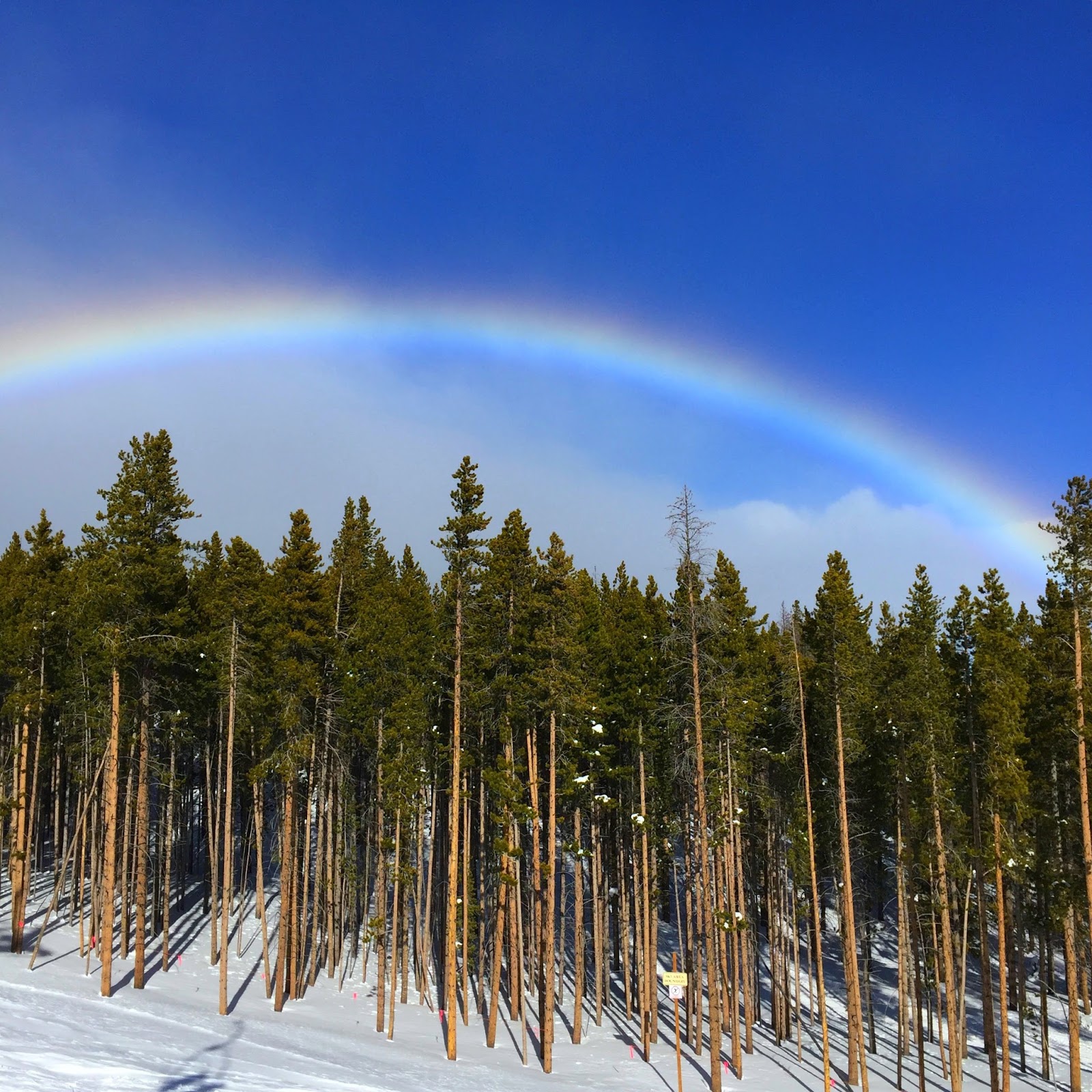 Upcycled Education My Word for 2017