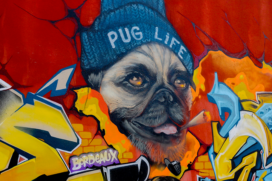 street art bordeaux street art bordeaux