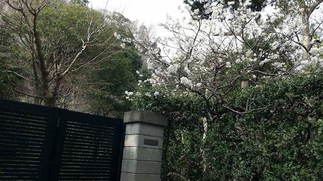 長谷寺.