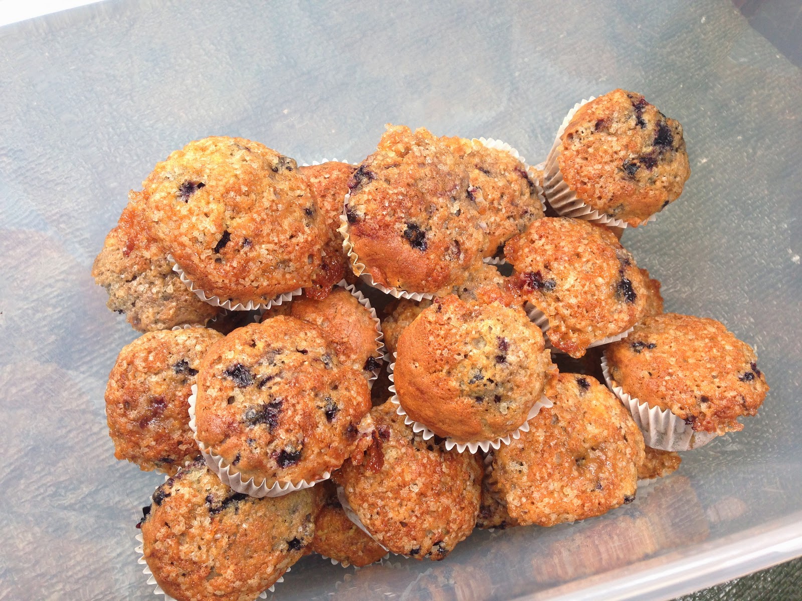 Lemon and Cheese Elderberry Muffins