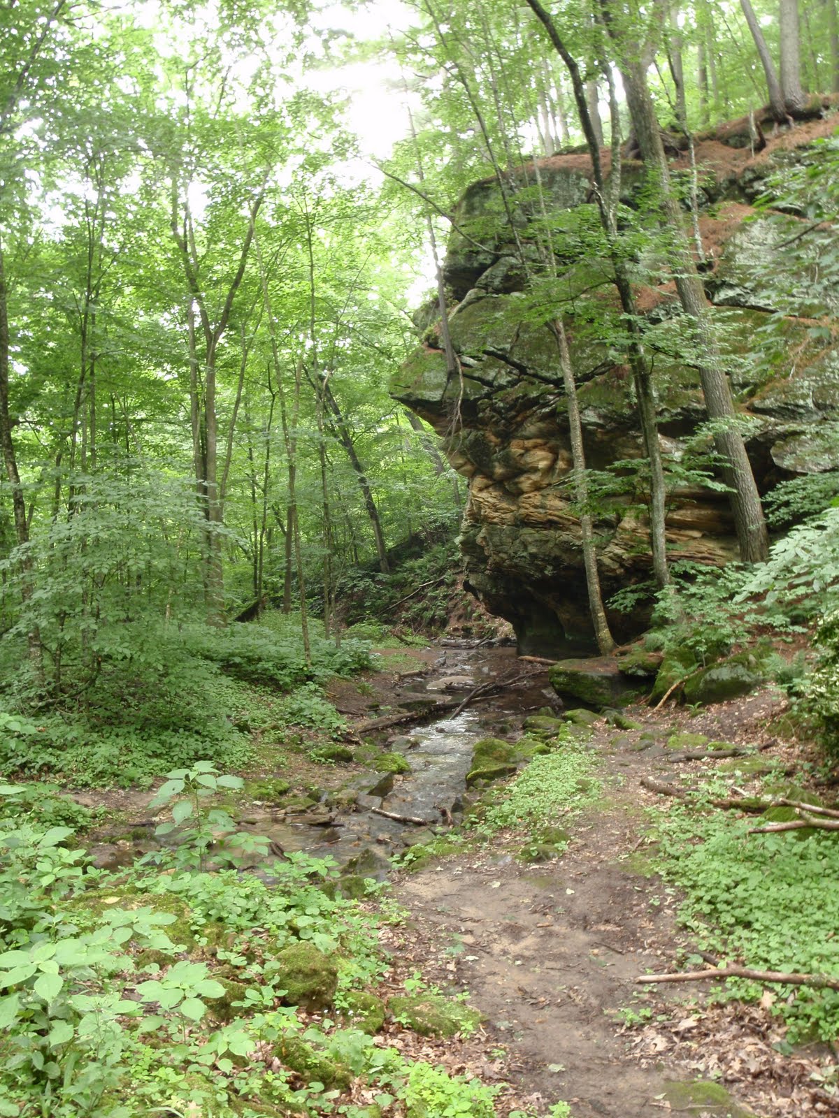 Great Outdoors Unglaciated Wisconsin The Driftless Area