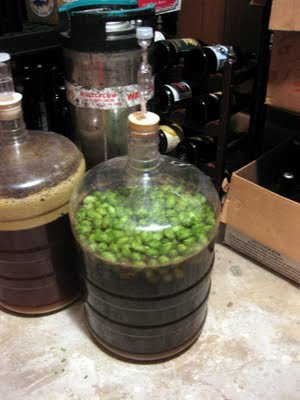 First time I've dry hopped with wet hops.