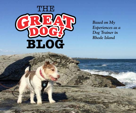 The Great Dog Blog