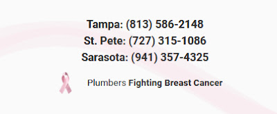 The Pink Plumber The Pink Plumber