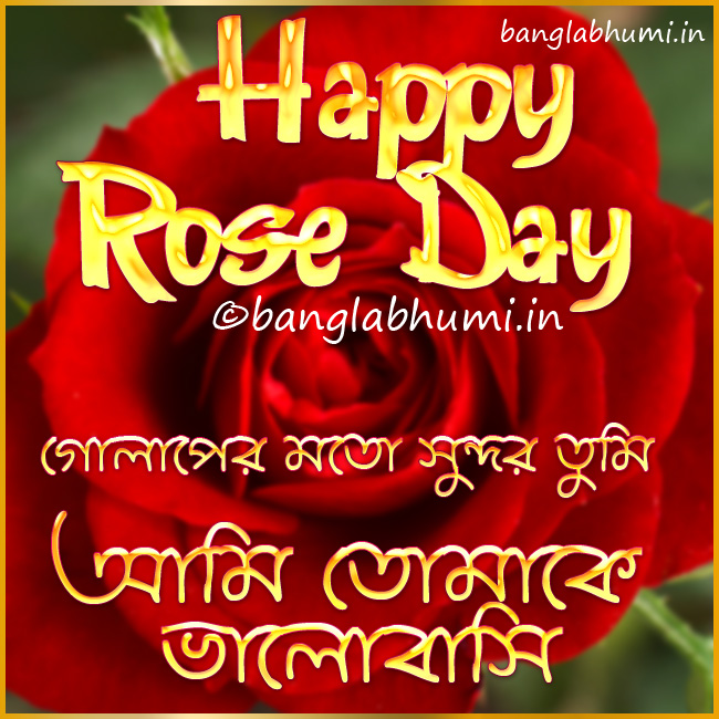 Happy Rose Day Bengali Wishing Wallpaper Bangla Bhumi West Bengal Land Records