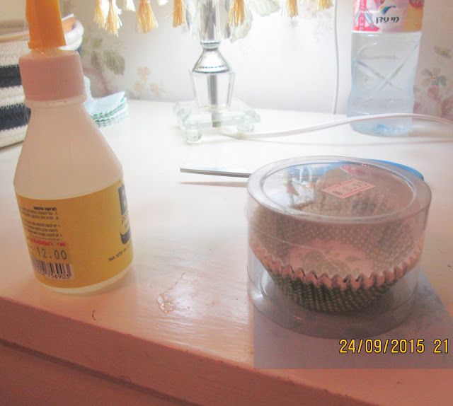 IMG 0071 - סוכה בסגנון אחר...