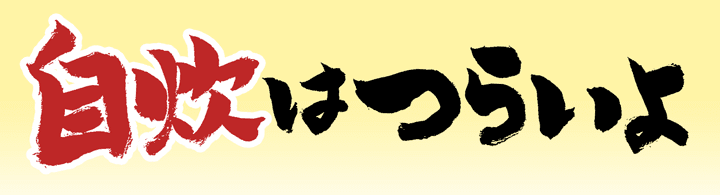 自炊はつらいよ。『ゆる自炊BOOK~料理って意外に簡単らしい~』 自炊はつらいよ。『ゆる自炊BOOK~料理って意外に簡単らしい~』