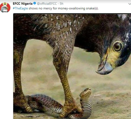  JAMB snake and EFCC eagle clash in rib cracking contest...