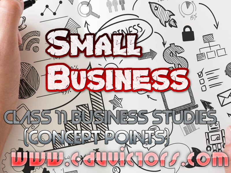 cbse-papers-questions-answers-mcq-cbse-class-11-business