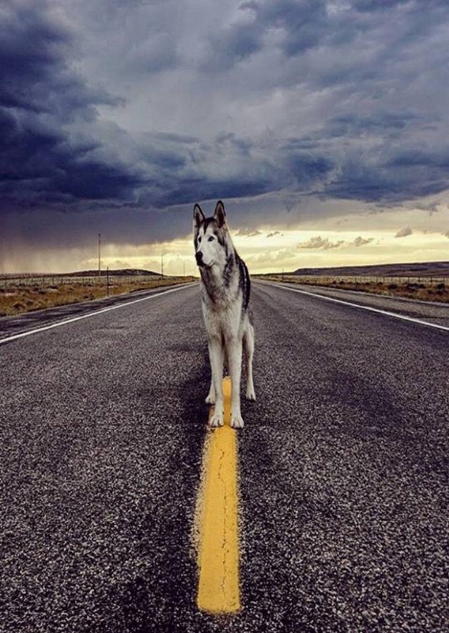 100 ± Gambar Wallpaper HD Iphone & Android Terbaru Via Wahok Paling Keren