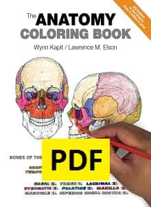 The Anatomy Coloring Book PDF Ebook | BooksDoctor