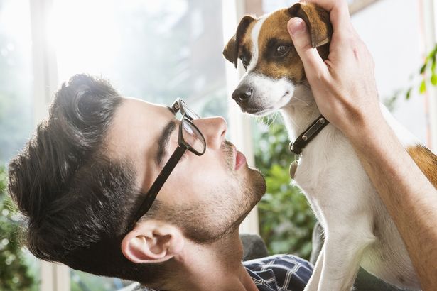 Official: Dog owners are more likely to live long and healthy lives Official: Dog owners are more likely to live long and healthy lives