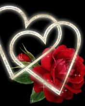 Valentinovo ljubavne slike besplatne pozadine za mobitele download
