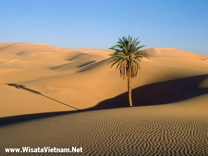 Mui Ne - Vietam Mui Ne - Vietam