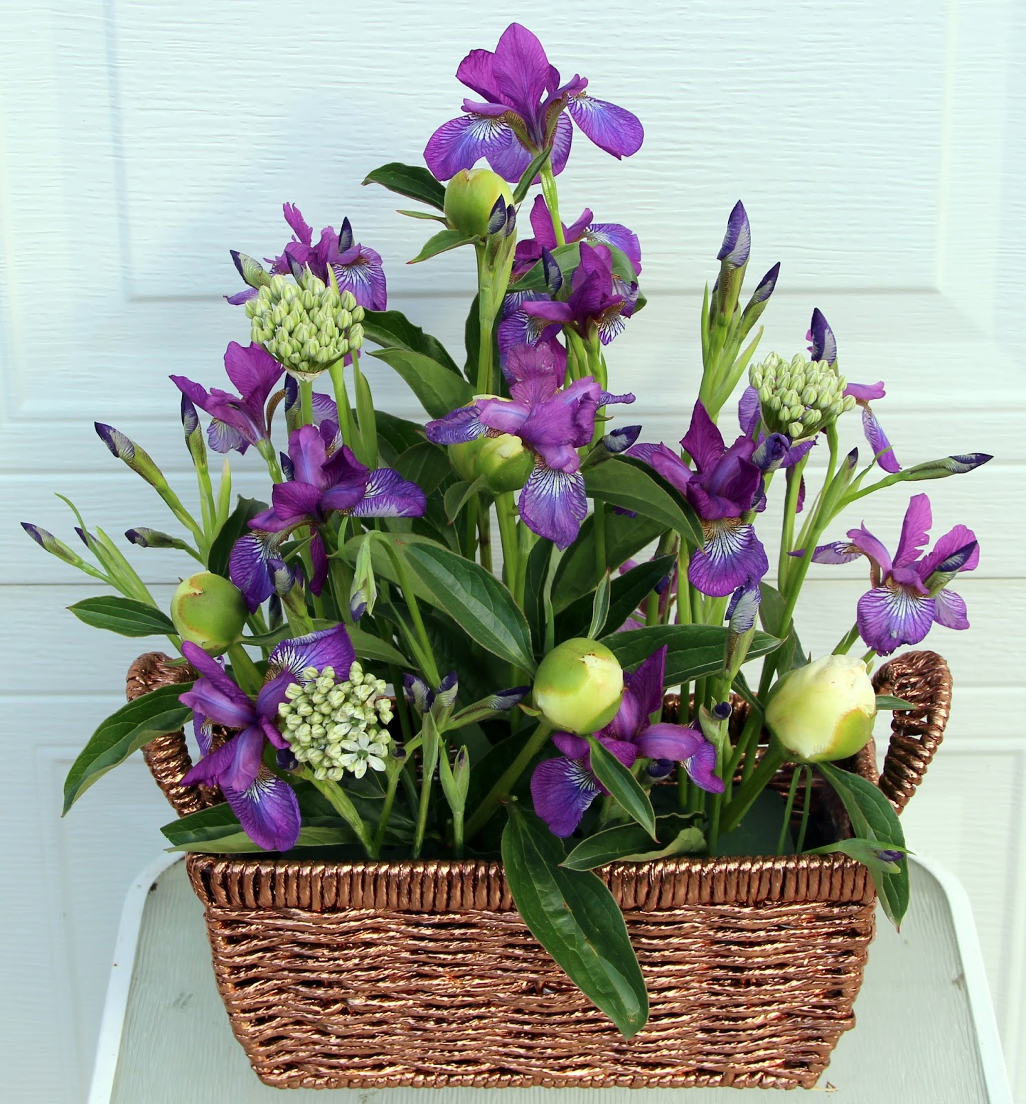 PEONIES AND SIBERIAN IRISES IN SPRING BASKET ARRANGEMENTS Sowing the Seeds