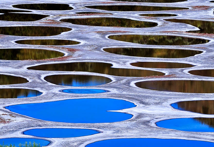 26. Spotted Lake in Osoyoos, British Columbia - 29 Unbelievable Locations That Look Like They’re Located On Another Planet