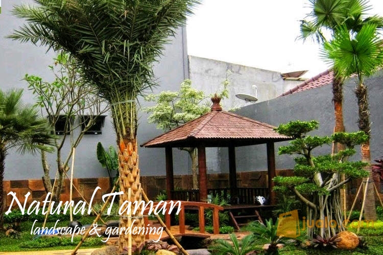 Sebagian Contoh Gambar Kolam minimalis, Taman, Tebing Relief 3 Dimensi