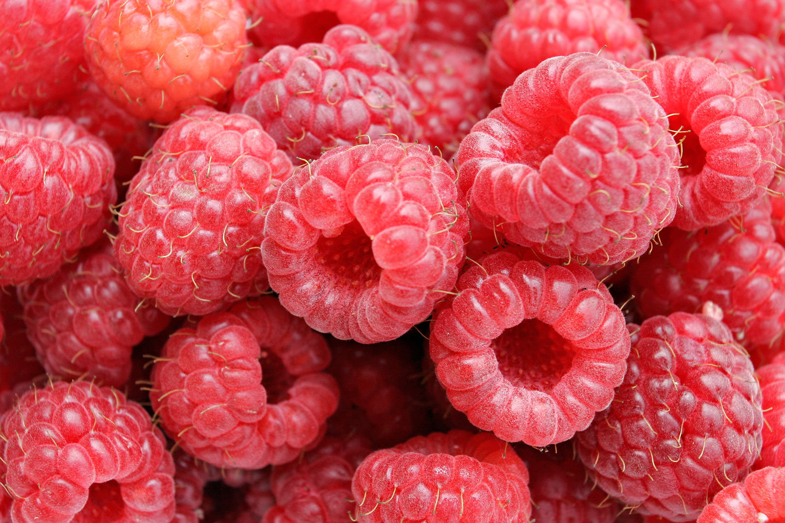 Best fresh Mejor fresco! Improving vitamin C content in RASPBERRY