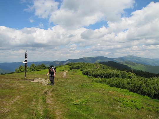 Zadná hoľa (1605 m n.p.m.). Zadná hoľa (1605 m n.p.m.).