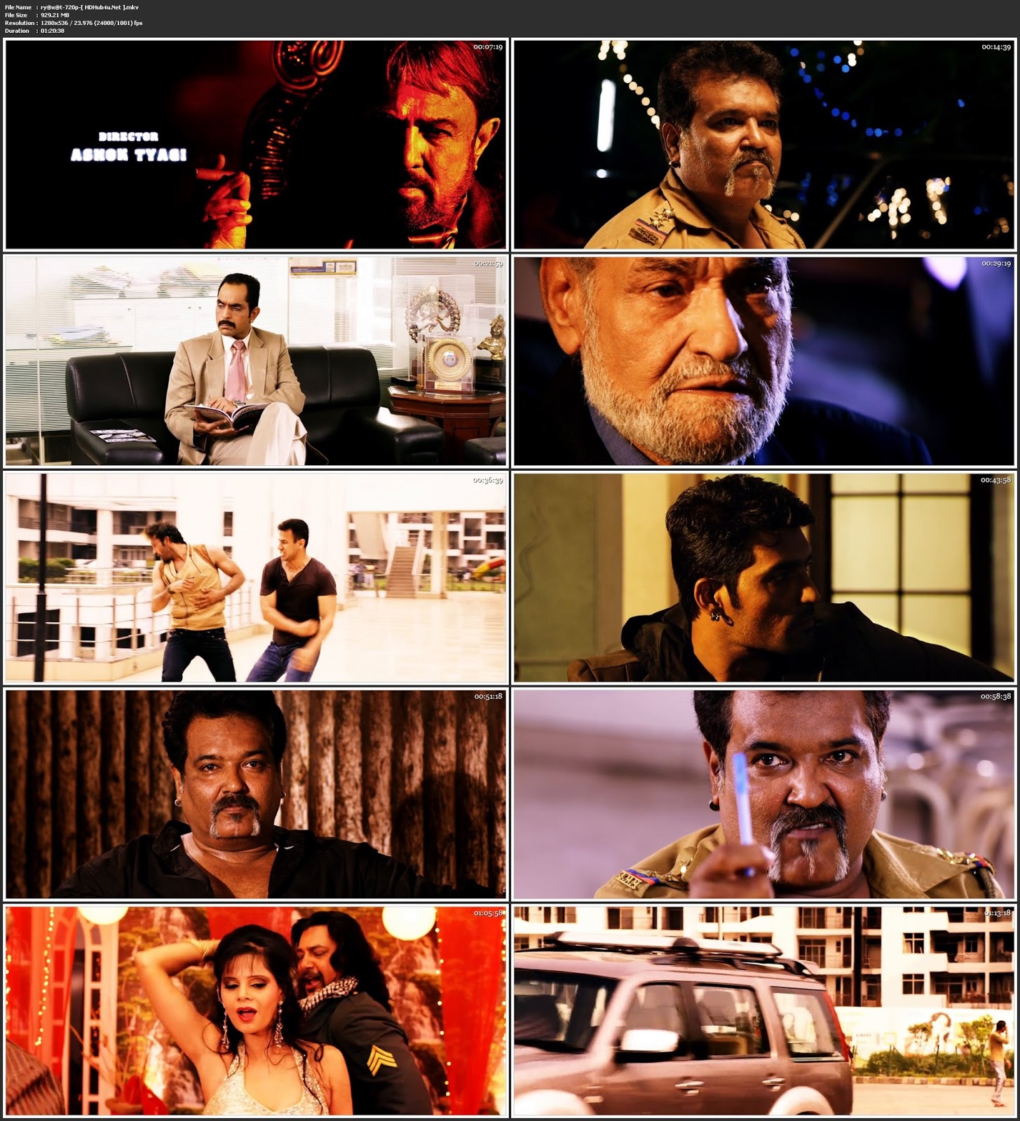 Riyasat 2014 Hindi Movie 480p HDRip 250Mb Download