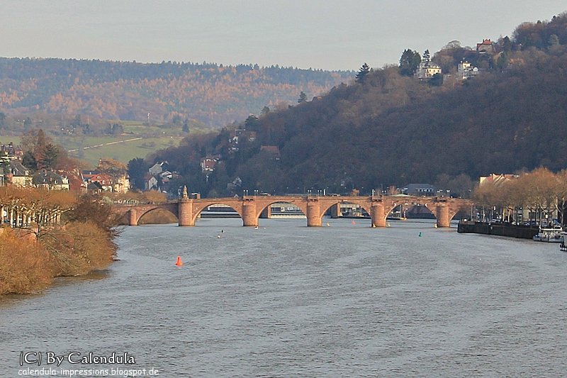 Heidelberg Neckar alte Neckarbrücke