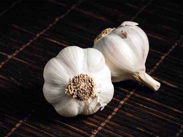 Bawang Putih Bawang Putih