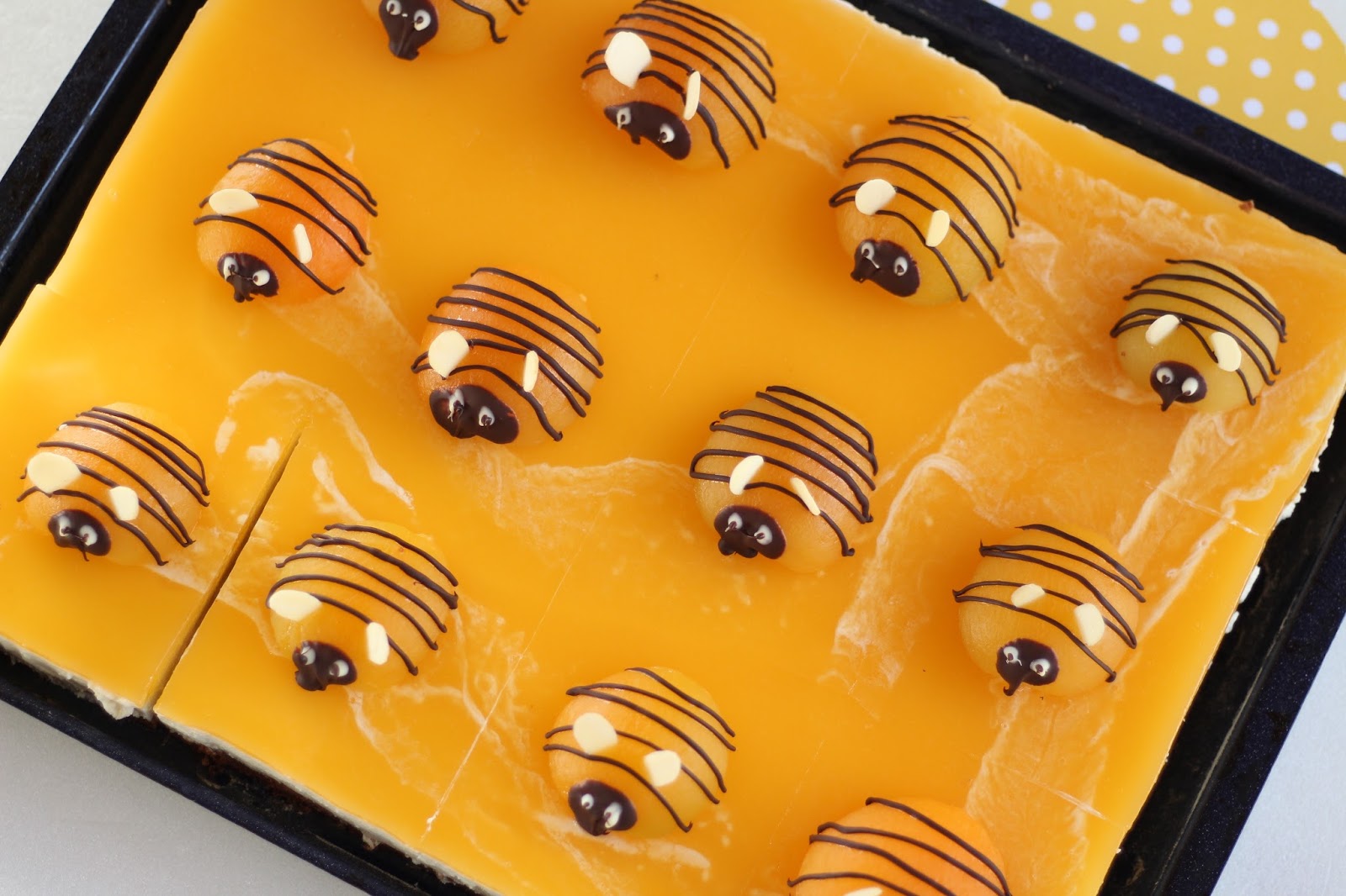 Bienenkuchen - frühlingshafter Kuchen mit Aprikosen und Joghurt-Quark-Creme - mit Video