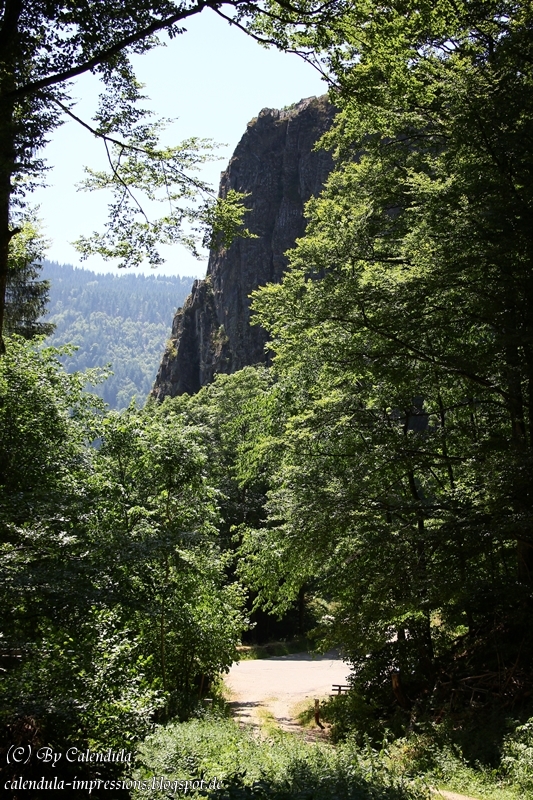 Scharfenstein, oberes Münstertal/Schwarzwald