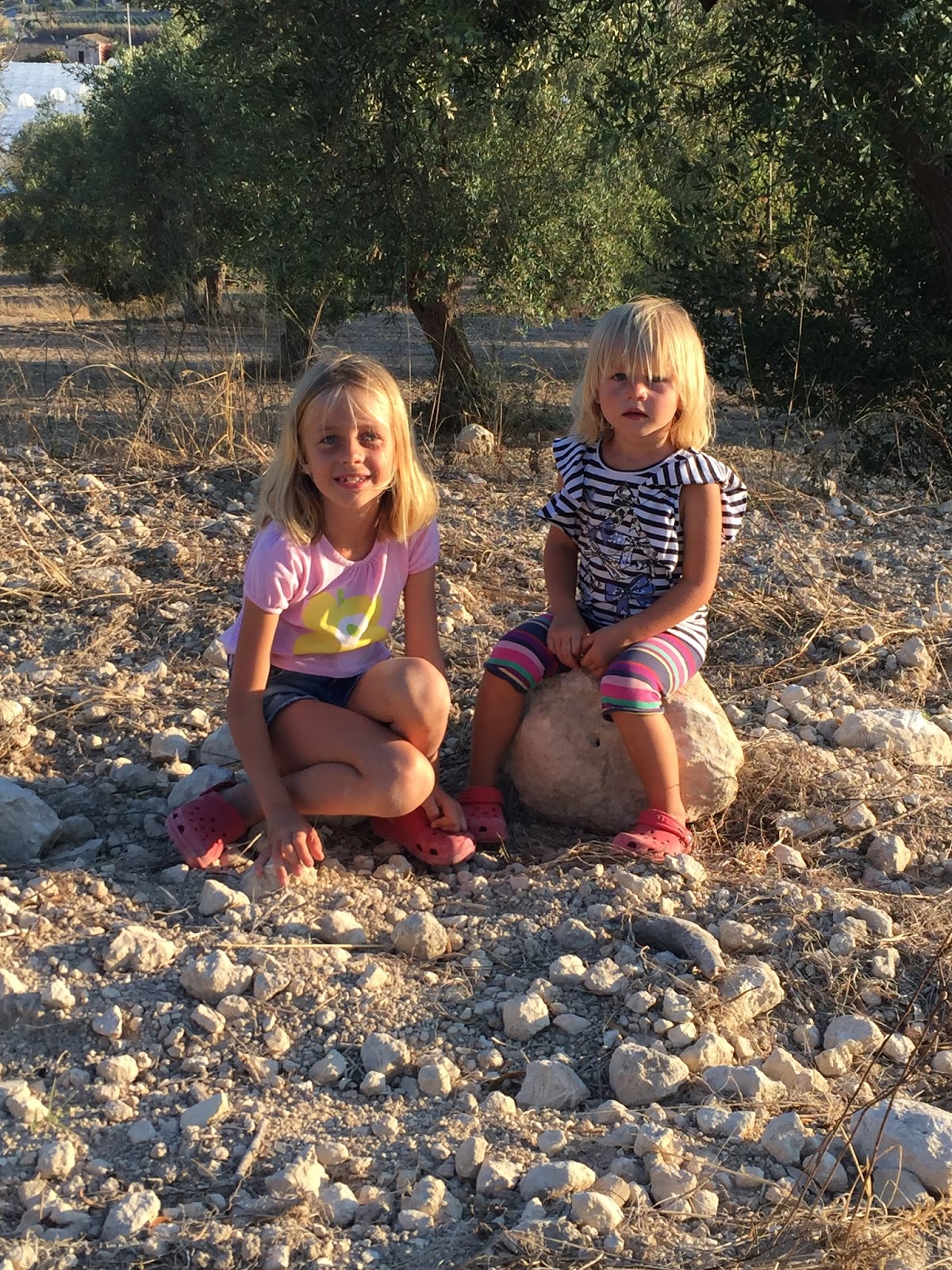 hämähäkki mies suihin