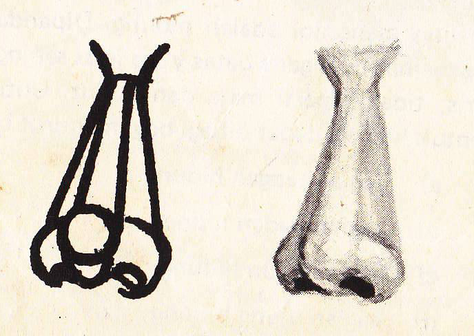 Simple ART: cara menggambar hidung dan telinga manusia