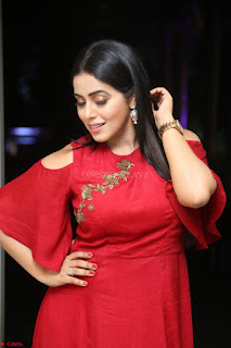 Poorna in Maroon Dress at Rakshasi movie Press meet Cute Pics ~  Exclusive 07