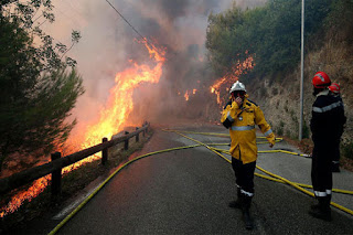 wildfires on France's Mediterranean coast