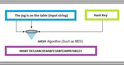 How Hashing Algorithms work?
