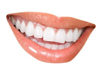 Tooth/ teeth (gigi) Tooth/ teeth (gigi)
