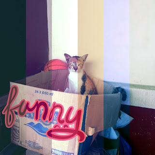 Gambar