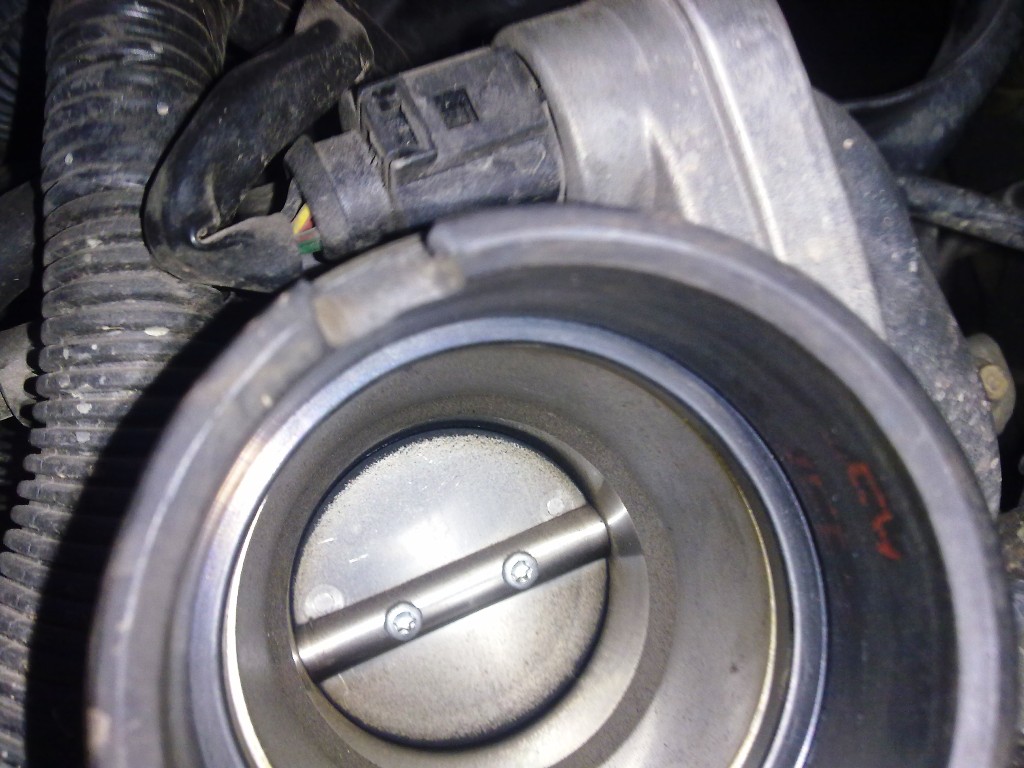 ButanZ's Scratch Pad Cleaning and Resetting Proton Gen2 Throttle Body