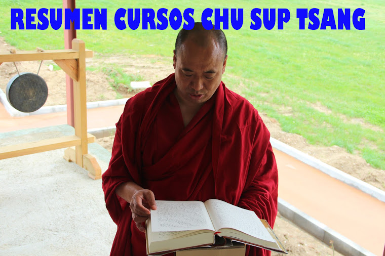 RESUMEN CURSOS CHU SUP TSANG