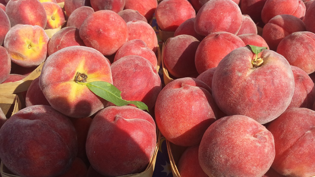 History of food 5 interesting facts about Peaches