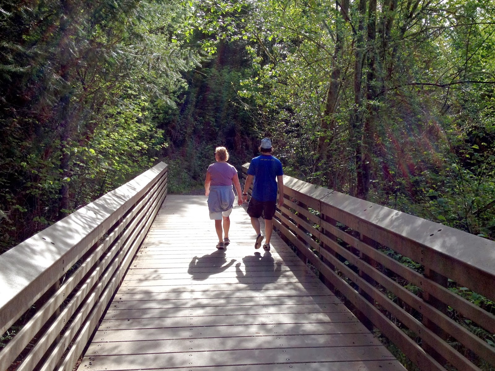 Dragonfly Meadow Adventuring 40407 Cooper Mountain Nature Park