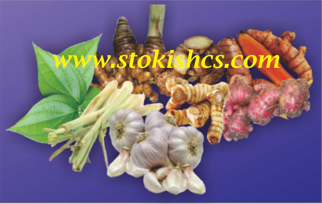 Membuat Herbal Untuk Ayam
