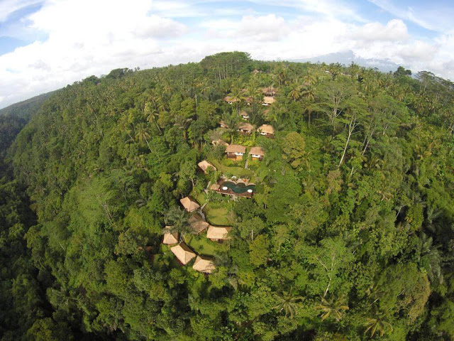 Nandini Jungle Resort & Spa Bali, Indonesia review