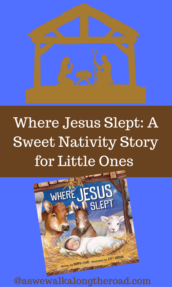 Review of Where Jesus Slept Review of Where Jesus Slept