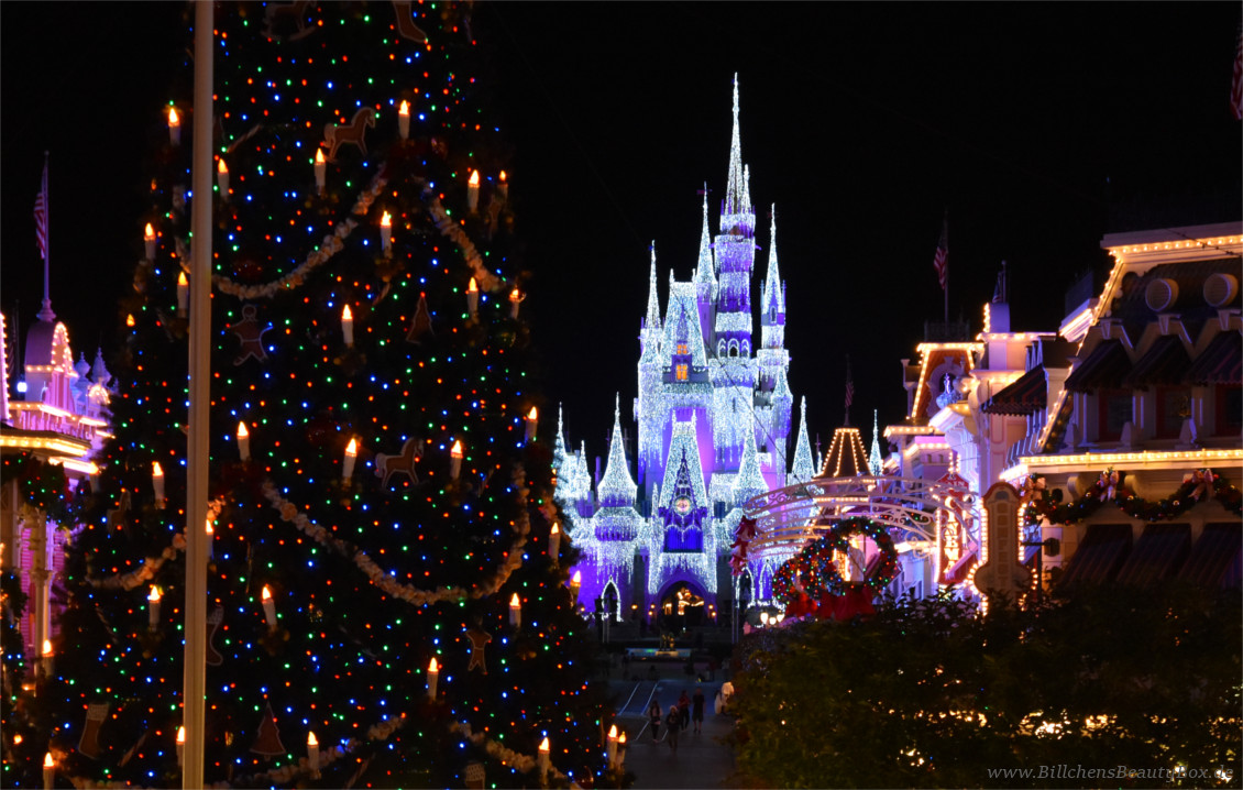 [Travel] Disney World Mickey's Very Merry Christmas Party