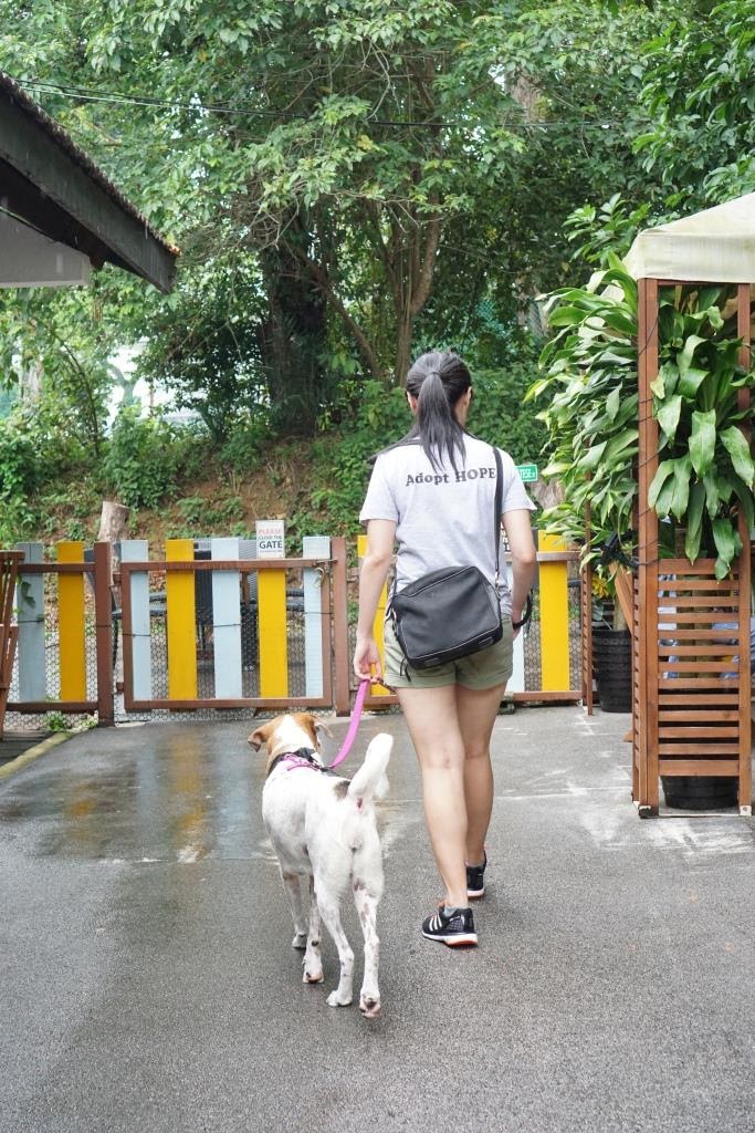 HOPE Dog Rescue Keep Your Dogs Leashed